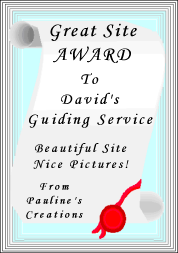  From Pauline's Creations 